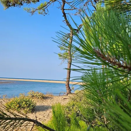 La Petite Croisière - Vue Jard-sur-Mer