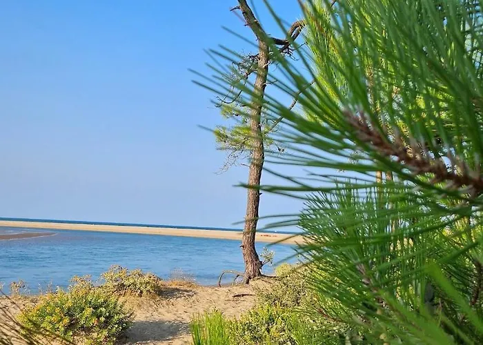 Lägenhet La Petite Croisiere - Vue *