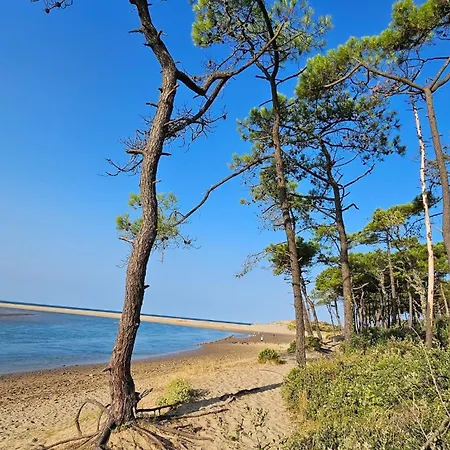 La Petite Croisiere - Vue *