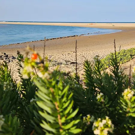 アパート La Petite Croisiere - Vue *