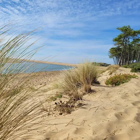 Apartament La Petite Croisiere - Vue