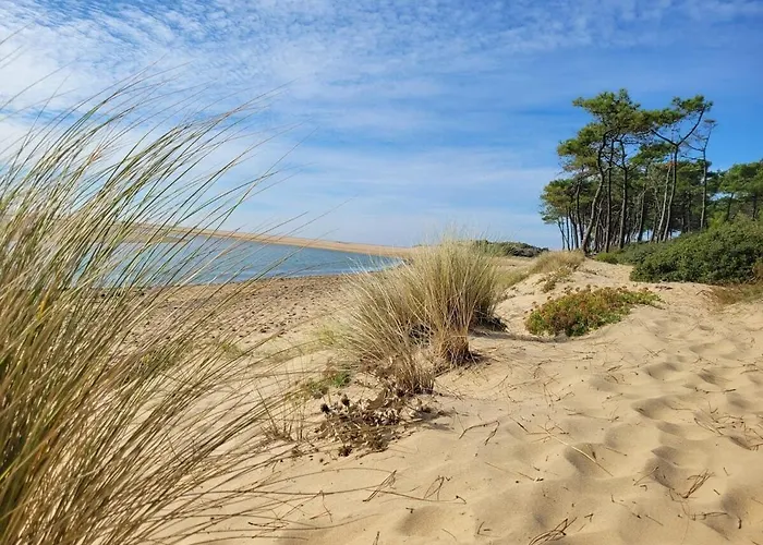 Apartmán La Petite Croisiere - Vue