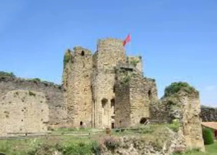 Apartament La Petite Croisiere - Vue *